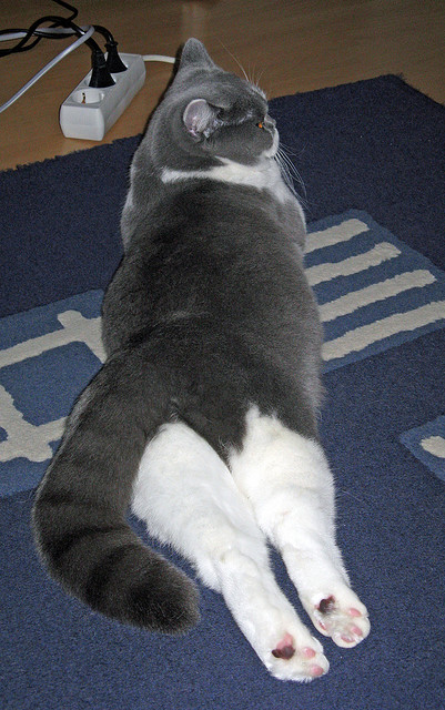 红白狂潮吞噬北欧铁阵，墨西哥三分钟奇迹一波带走乌克兰