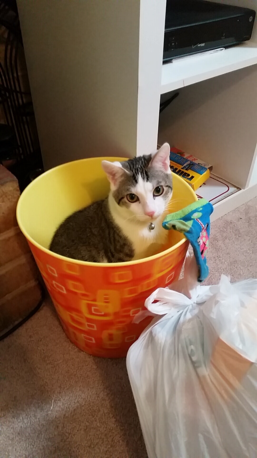 刹那的枢纽，世界排名争夺战之夜，皮克的攻防转换艺术