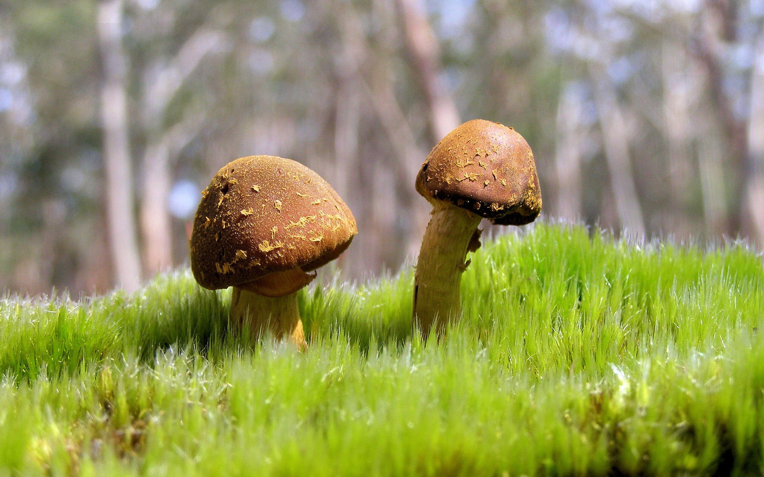 权利的游戏，当公牛在焦点战中淘汰勇士，世界排名的棋盘如何倾斜？