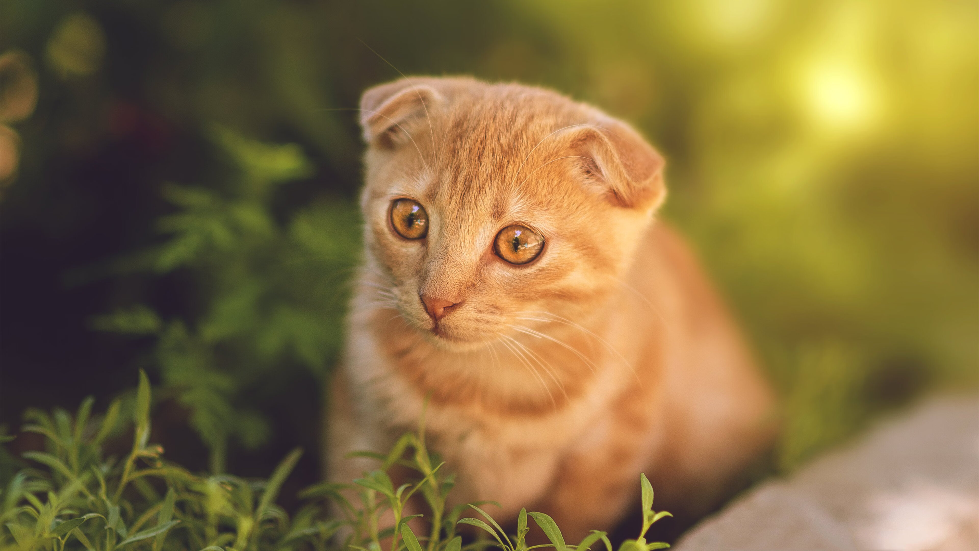 1986与2026，四十年的轮回与救赎