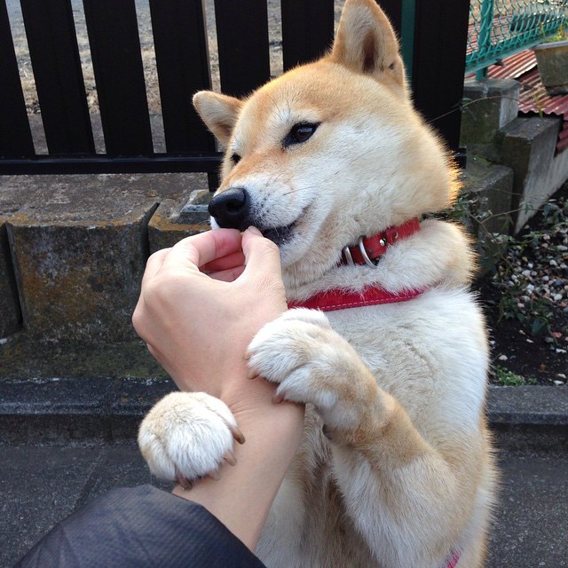 夜场统治者，当F1引擎的咆哮遇见字母哥的静默凝视