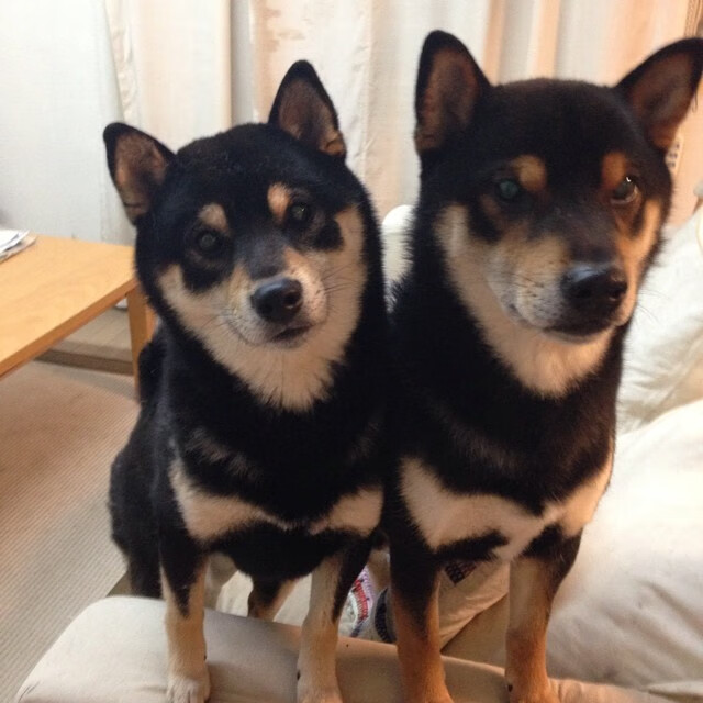 北欧孤岛的叹息之墙，当卡塞米罗的烈焰，冻结于挪威的极寒防守