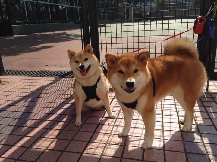 时空交错,当勒沃库森压制卡塔尔,基米希在NBA总决赛接管比赛