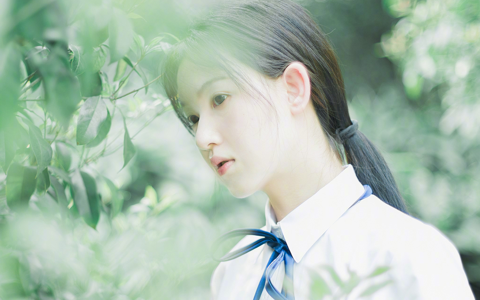 齿轮之心，福克斯的1.9秒与一场比赛的唯一性