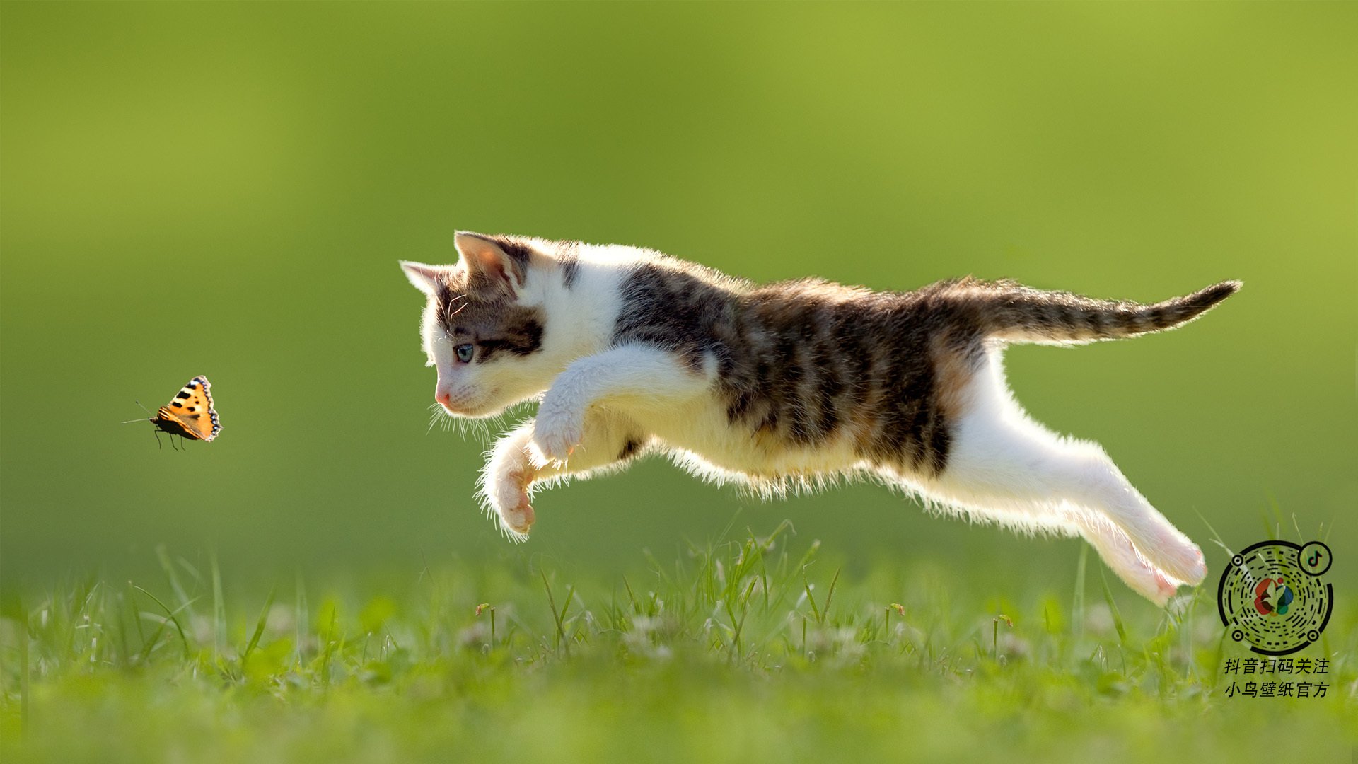 关键战闪耀夜，德阿隆·福克斯如何定义奥运周期的价值