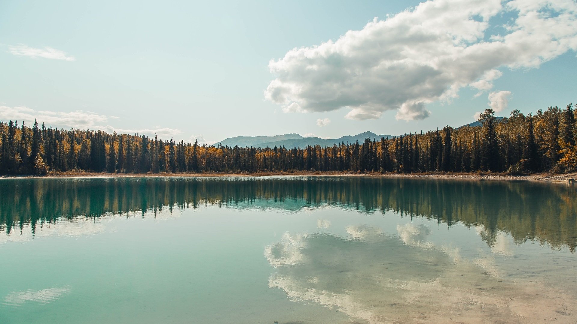 暗星吞噬宇宙，当克瓦拉茨赫利亚的炽热在曼联的战术黑洞前冻结