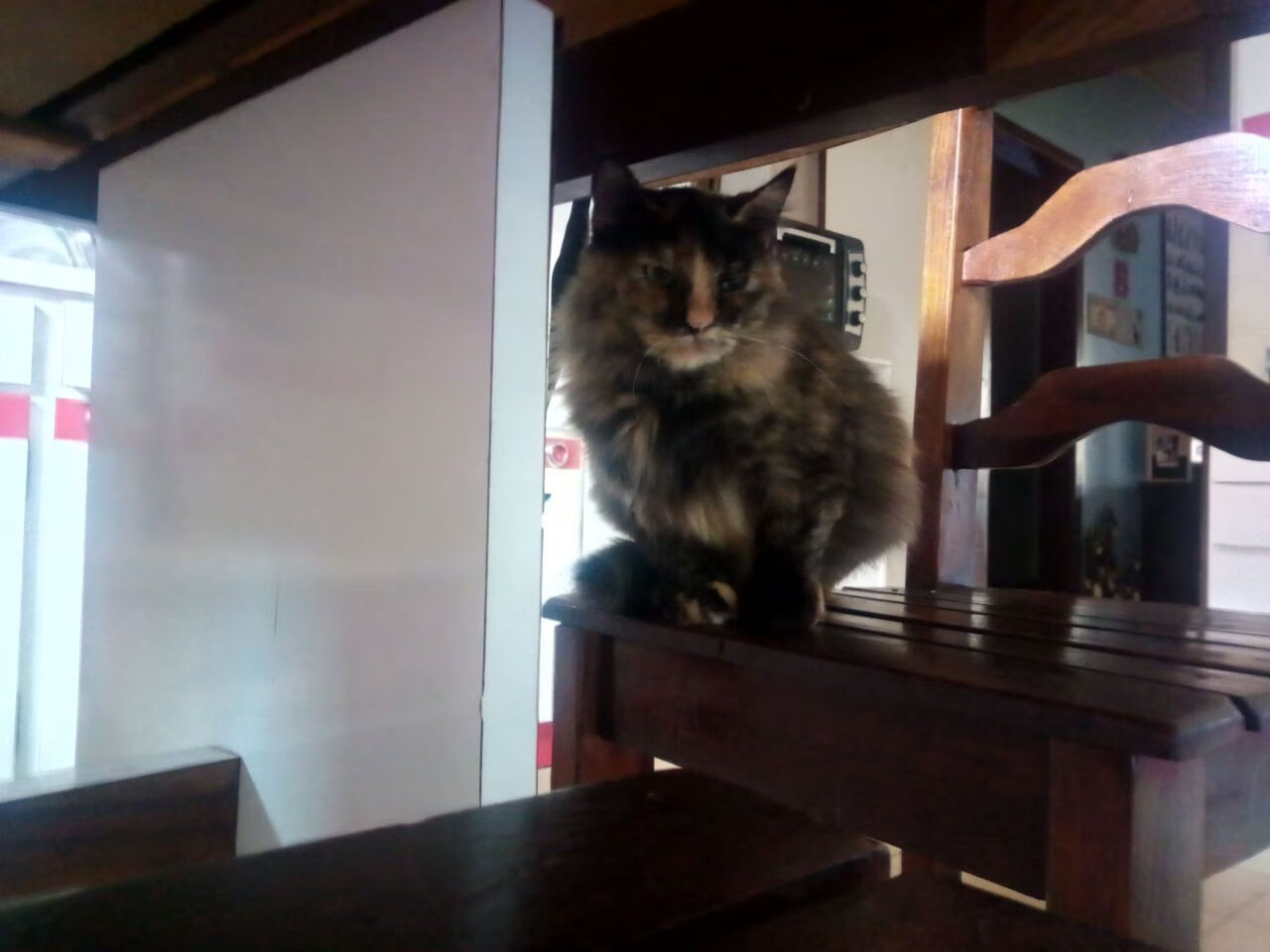 真正的奇才不在华盛顿,而在波士顿,塔图姆如何成为森林狼之战的胜负手