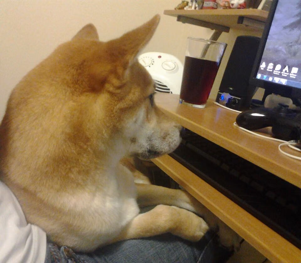 范戴克一锤定音，墨西哥客场擒下加拿大，夺得北美大陆国家德比