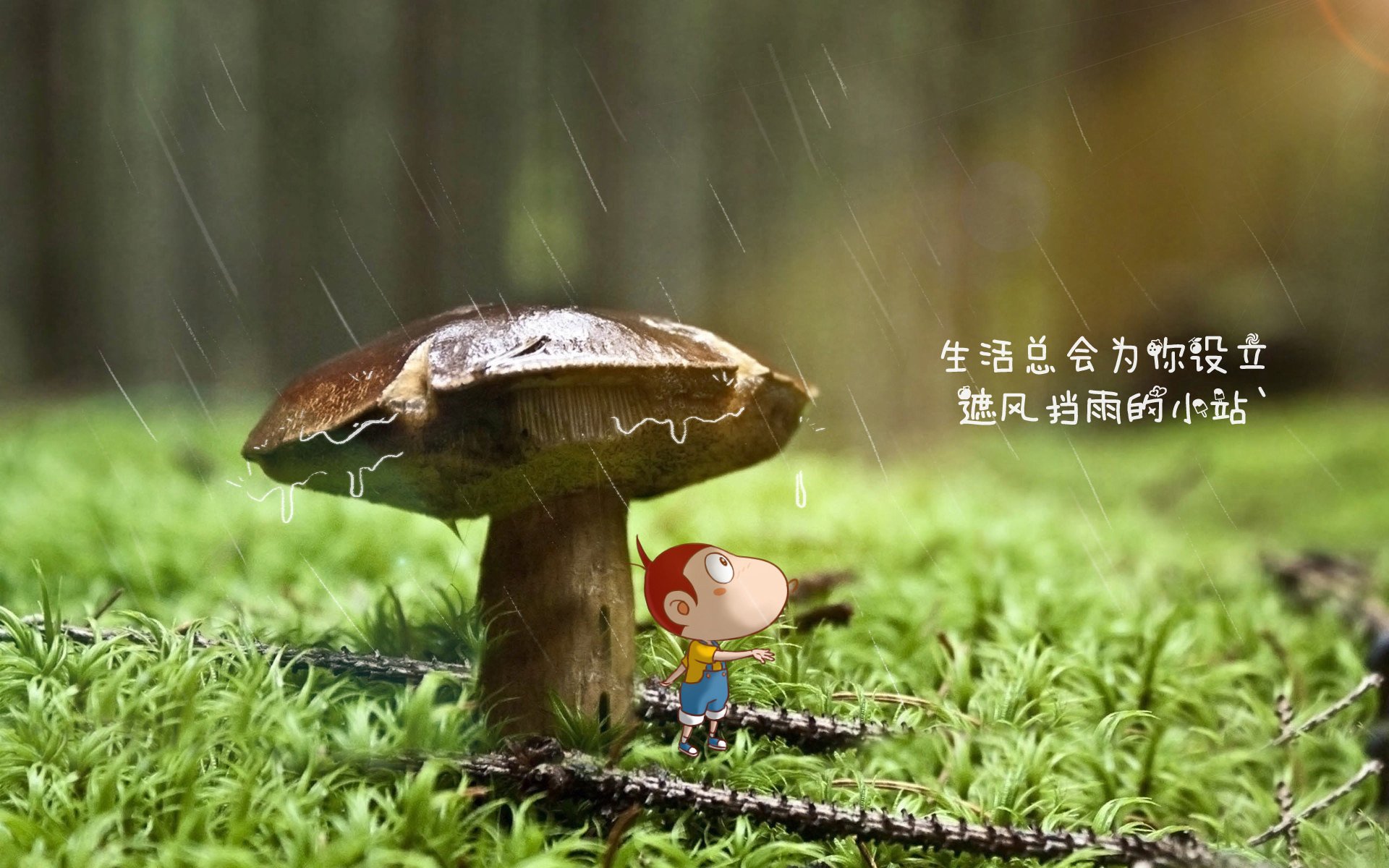 末节之王,福克斯在2026世界杯之夜的光速征服