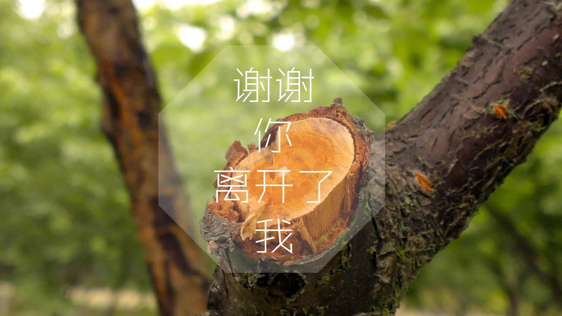 高卢雄鸡折翼,橘色长城矗立,范戴克与一场颠覆足球哲学的1/4决赛
