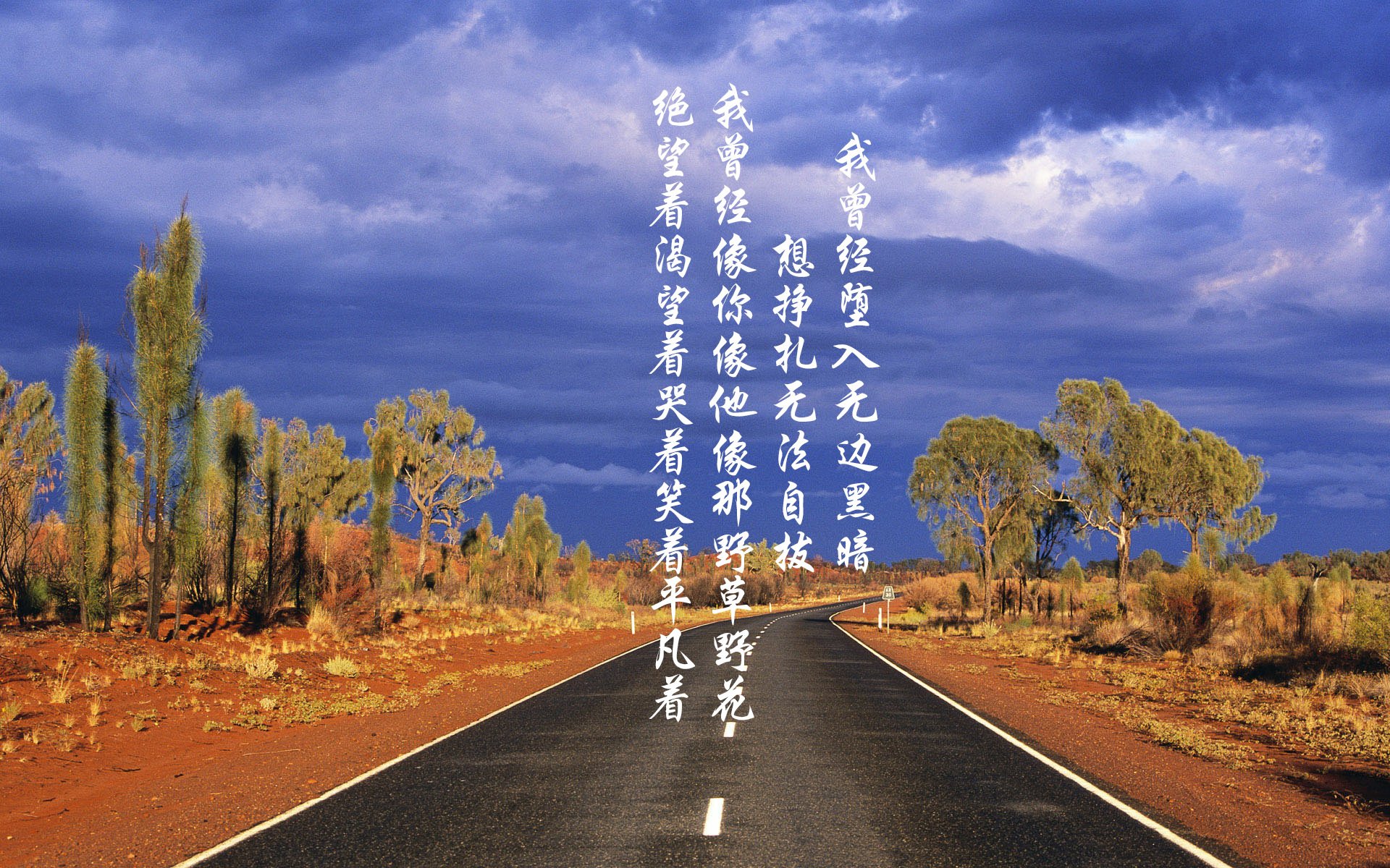 血色的仙人掌，当内马尔的孤舞，在墨西哥城下刺穿桑巴的黄昏