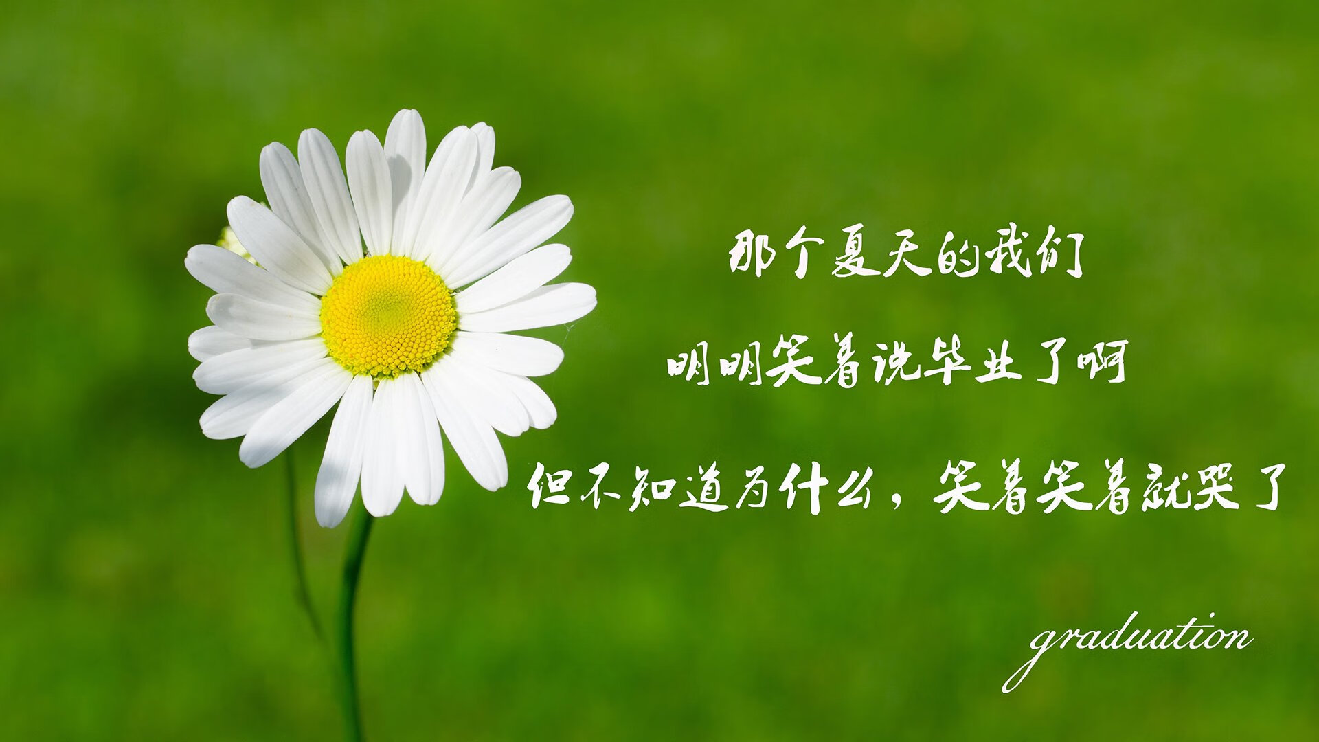 北极光下的复仇，德容穿针引线，挪威绝杀哥伦比亚，奏响2026世界杯最燃冰与火之歌